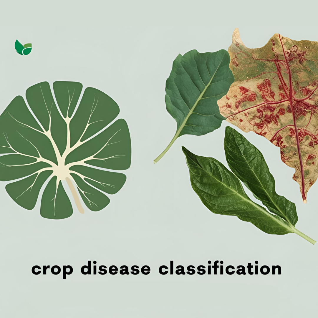 Image-Classification-of-Plant-Diseases-Using-CNN